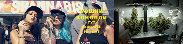 крисы Арсеньев