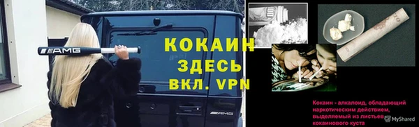 ПСИЛОЦИБИНОВЫЕ ГРИБЫ Армянск