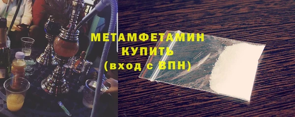 индика Няндома