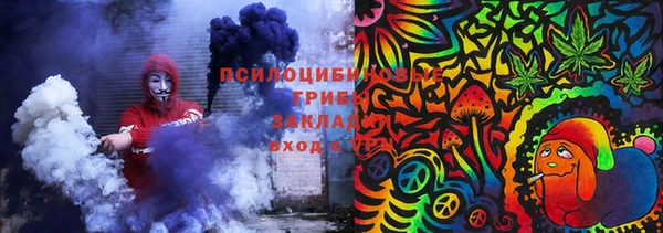 крисы Арсеньев
