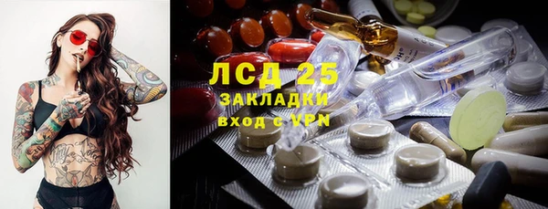 крисы Арсеньев