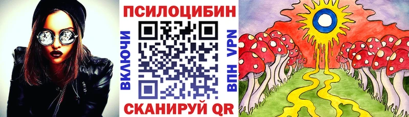 что такое   Правдинск  Псилоцибиновые грибы мицелий 