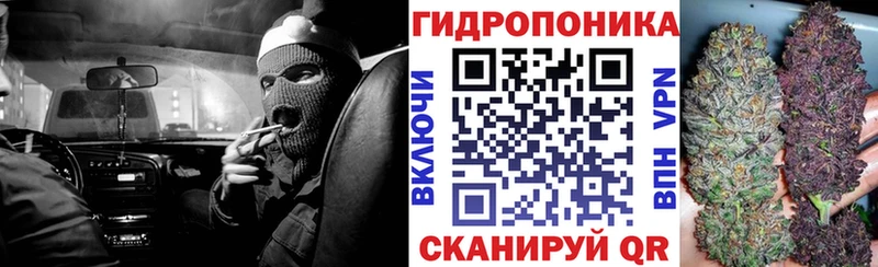 Бошки Шишки MAZAR  Правдинск 